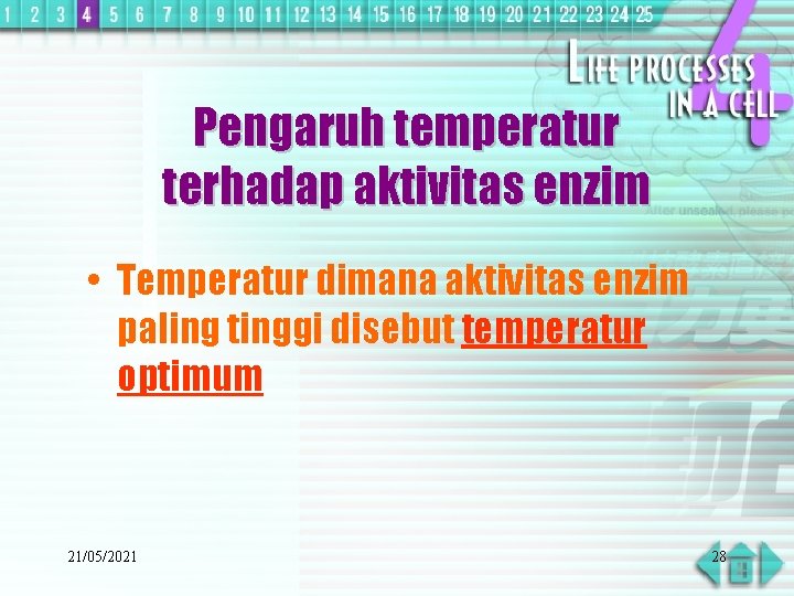 Pengaruh temperatur terhadap aktivitas enzim • Temperatur dimana aktivitas enzim paling tinggi disebut temperatur