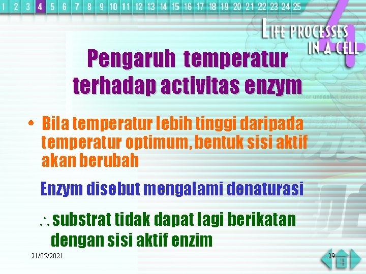 Pengaruh temperatur terhadap activitas enzym • Bila temperatur lebih tinggi daripada temperatur optimum, bentuk