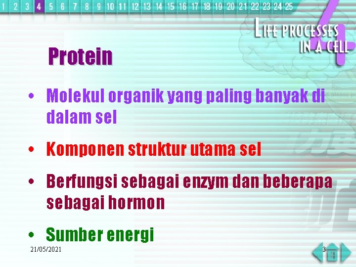 Protein Molekul organik yang paling banyak di dalam sel Komponen struktur utama sel Berfungsi