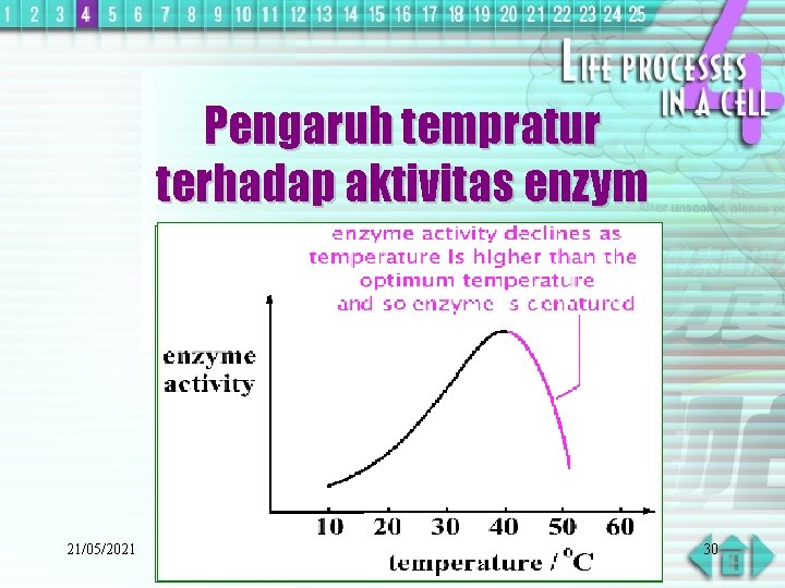 Pengaruh tempratur terhadap aktivitas enzym 21/05/2021 30 