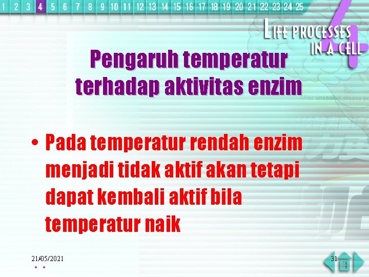 Pengaruh temperatur terhadap aktivitas enzim • Pada temperatur rendah enzim menjadi tidak aktif akan