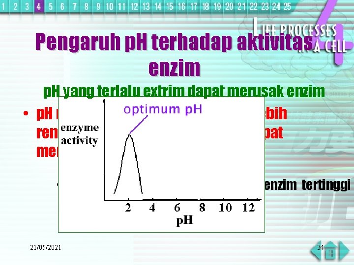 Pengaruh p. H terhadap aktivitas enzim p. H yang terlalu extrim dapat merusak enzim