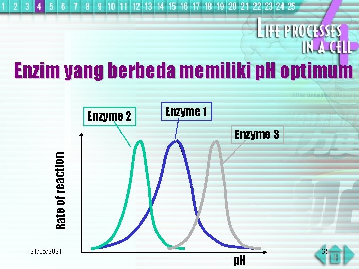 Enzim yang berbeda memiliki p. H optimum Enzyme 2 Enzyme 1 Rate of reaction