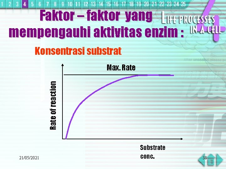 Faktor – faktor yang mempengauhi aktivitas enzim : Konsentrasi substrat Rate of reaction Max.