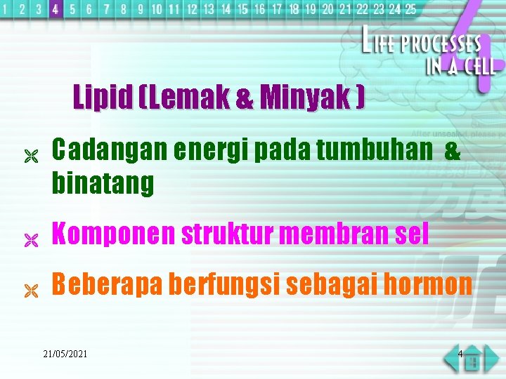 Lipid (Lemak & Minyak ) Ë Cadangan energi pada tumbuhan & binatang Ë Komponen