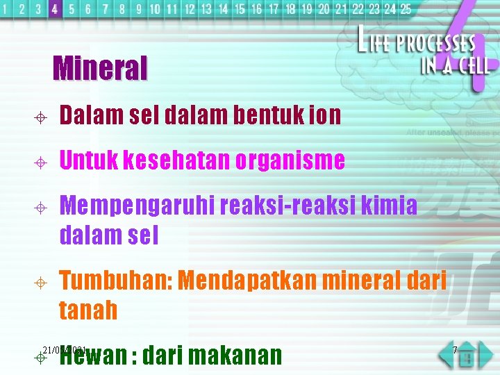 Mineral ± Dalam sel dalam bentuk ion ± Untuk kesehatan organisme ± Mempengaruhi reaksi-reaksi