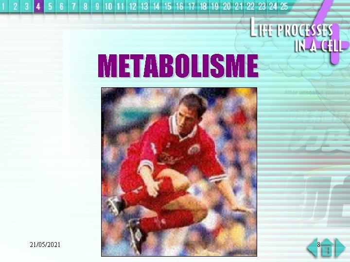 METABOLISME 21/05/2021 8 