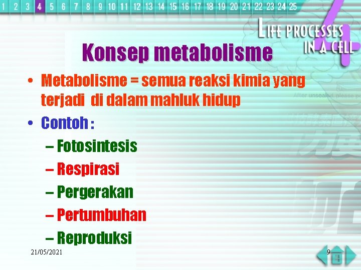 Konsep metabolisme • Metabolisme = semua reaksi kimia yang terjadi di dalam mahluk hidup