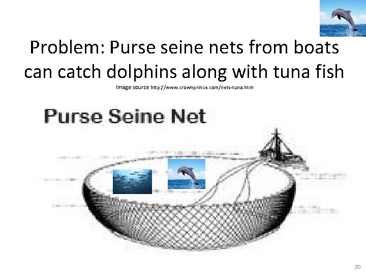 Problem: Purse seine nets from boats can catch dolphins along with tuna fish image Problem: Purse seine nets from boats can catch dolphins along with tuna fish image