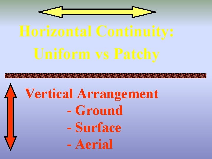 Horizontal Continuity: Uniform vs Patchy Vertical Arrangement - Ground - Surface - Aerial 