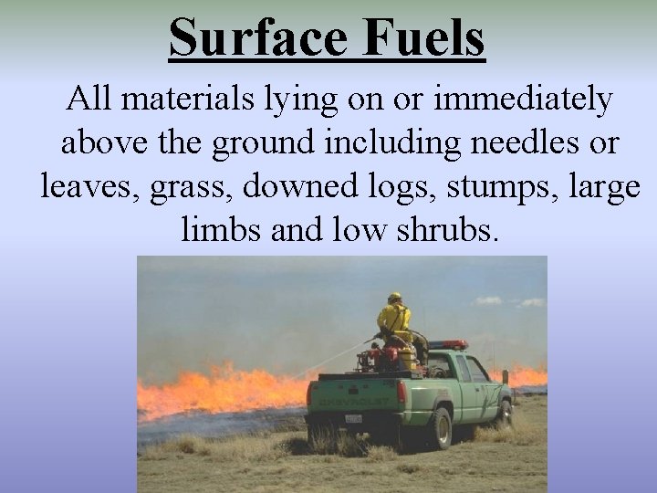 Surface Fuels All materials lying on or immediately above the ground including needles or