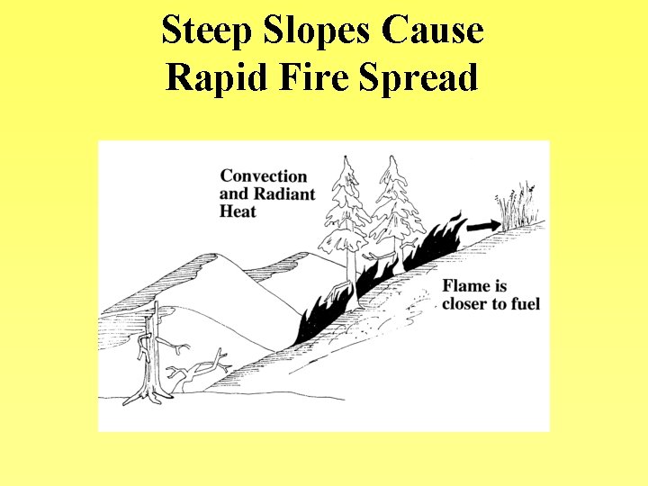Steep Slopes Cause Rapid Fire Spread 