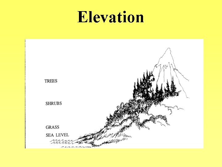 Elevation 