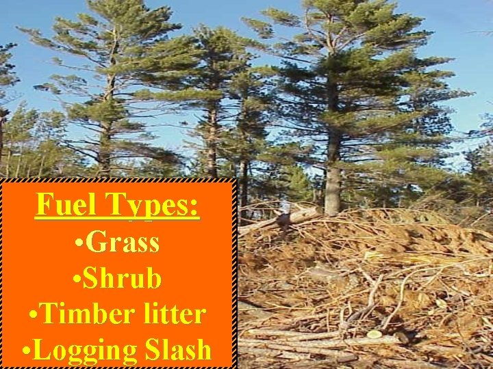 Fuel Types: • Grass • Shrub • Timber litter • Logging Slash 