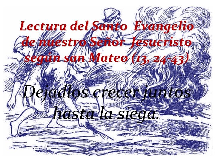 Lectura del Santo Evangelio de nuestro Señor Jesucristo según san Mateo (13, 24 -43)