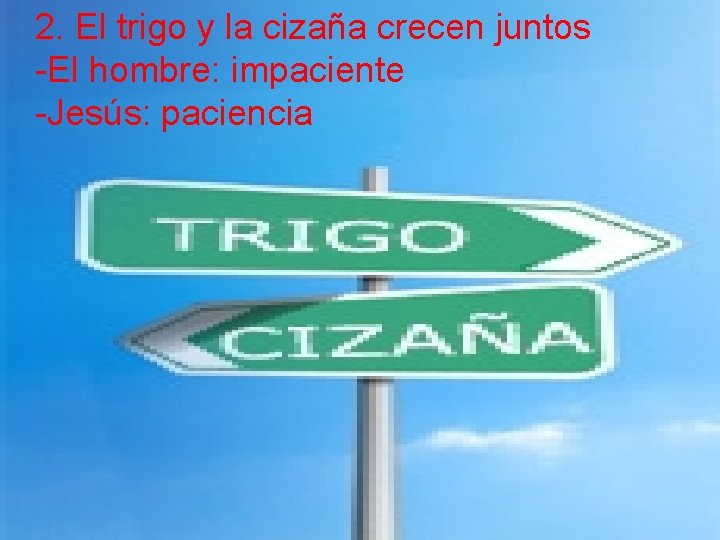 2. El trigo y la cizaña crecen juntos -El hombre: impaciente -Jesús: paciencia 