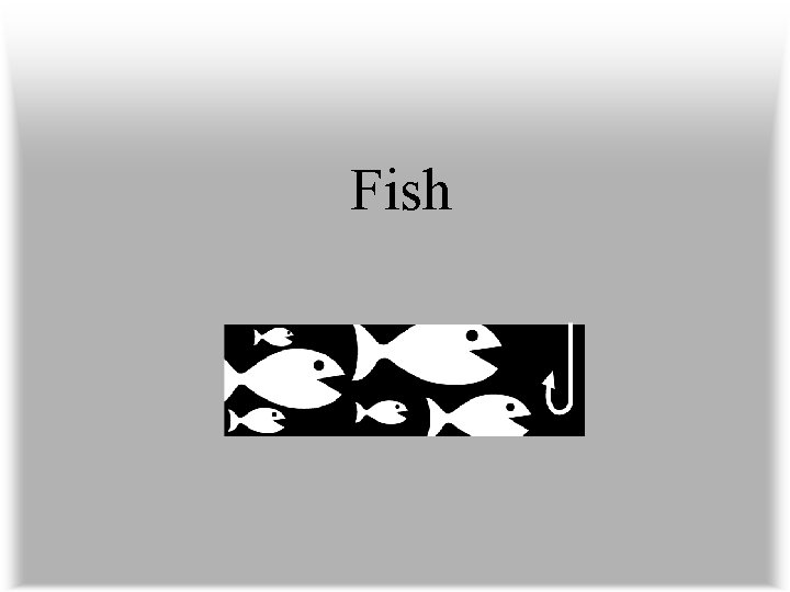 Fish 