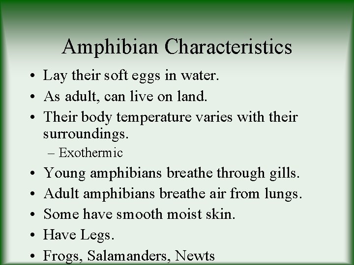 Amphibian Characteristics • Lay their soft eggs in water. • As adult, can live