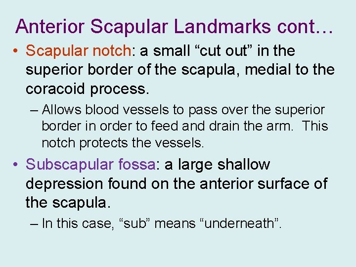 Anterior Scapular Landmarks cont… • Scapular notch: a small “cut out” in the superior