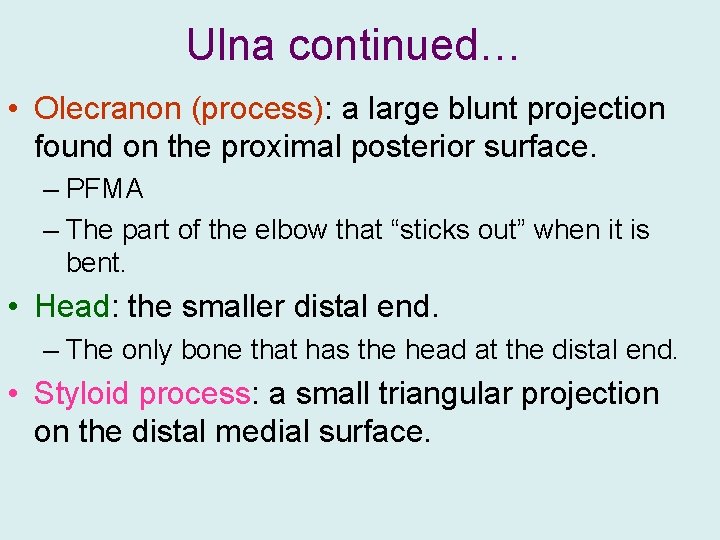 Ulna continued… • Olecranon (process): a large blunt projection found on the proximal posterior