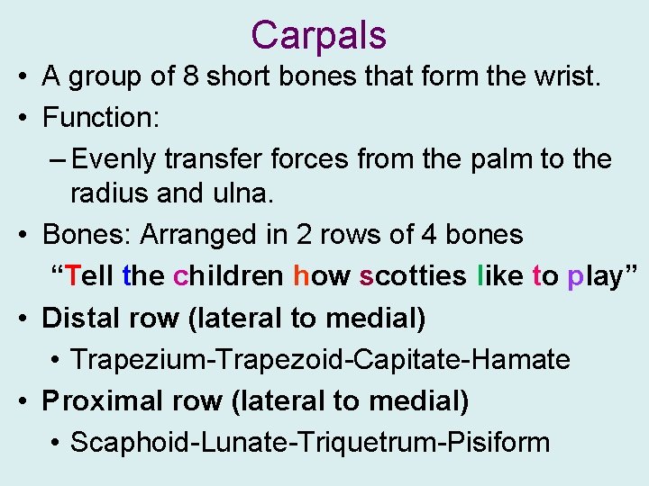 Carpals • A group of 8 short bones that form the wrist. • Function: