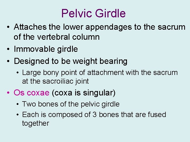 Pelvic Girdle • Attaches the lower appendages to the sacrum of the vertebral column