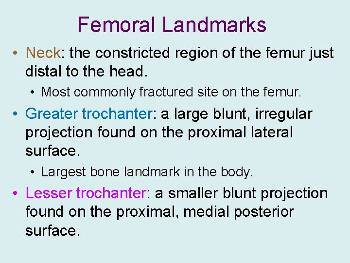 Femoral Landmarks • Neck: the constricted region of the femur just distal to the