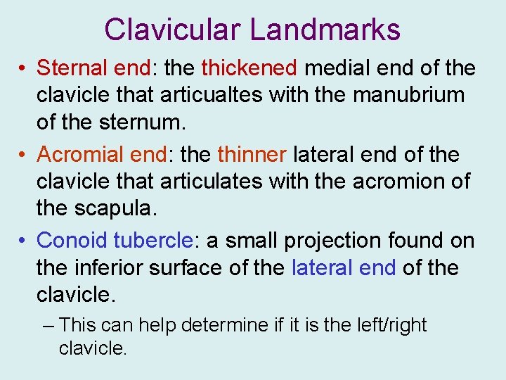 Clavicular Landmarks • Sternal end: the thickened medial end of the clavicle that articualtes