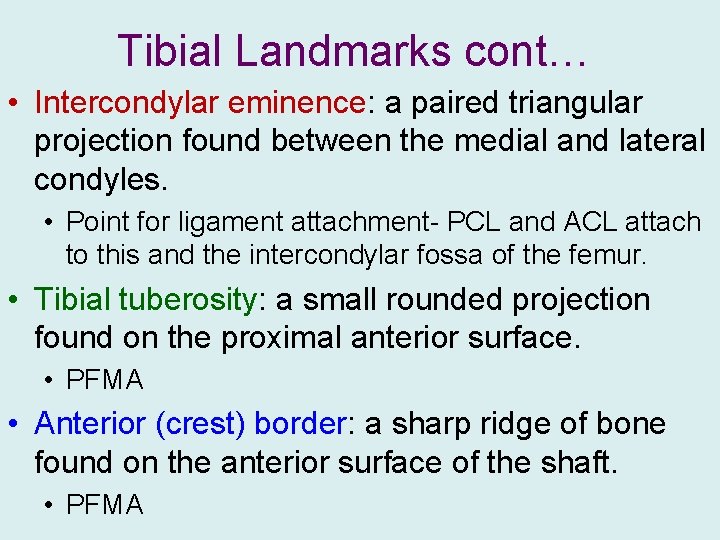 Tibial Landmarks cont… • Intercondylar eminence: a paired triangular projection found between the medial