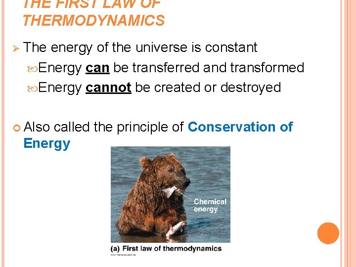 THE FIRST LAW OF THERMODYNAMICS Ø The energy of the universe is constant Energy