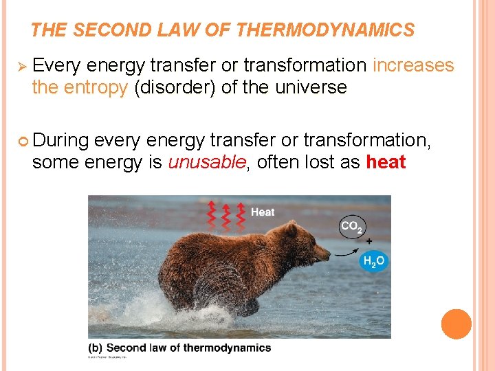 THE SECOND LAW OF THERMODYNAMICS Ø Every energy transfer or transformation increases the entropy