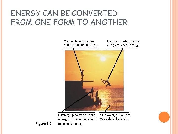 ENERGY CAN BE CONVERTED FROM ONE FORM TO ANOTHER On the platform, a diver