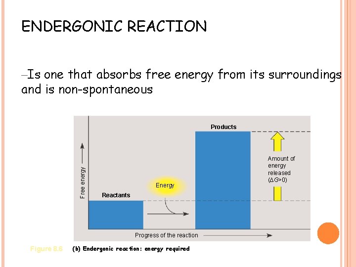 ENDERGONIC REACTION –Is one that absorbs free energy from its surroundings and is non-spontaneous