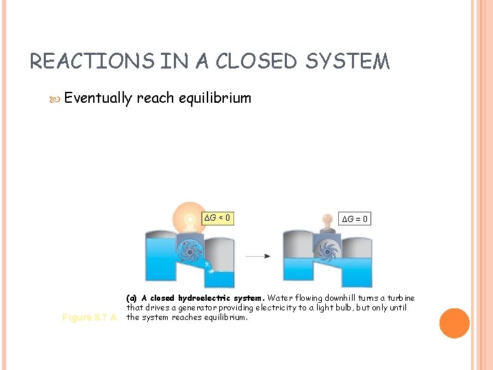 REACTIONS IN A CLOSED SYSTEM Eventually reach equilibrium ∆G < 0 Figure 8. 7