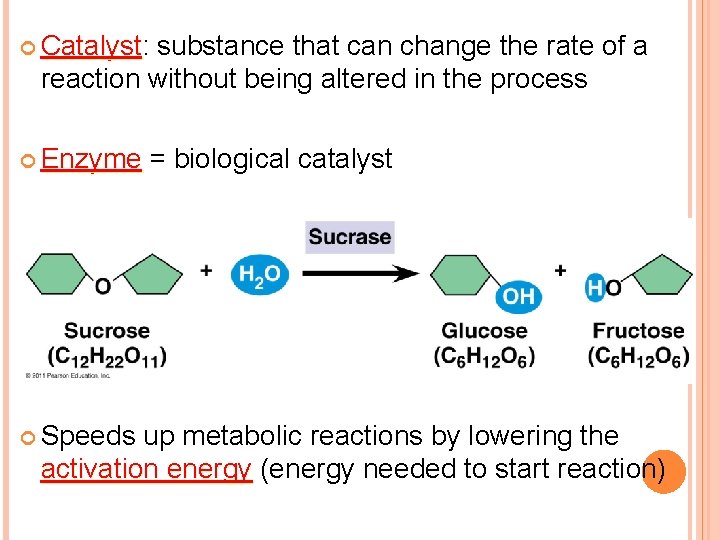  Catalyst: Catalyst substance that can change the rate of a reaction without being