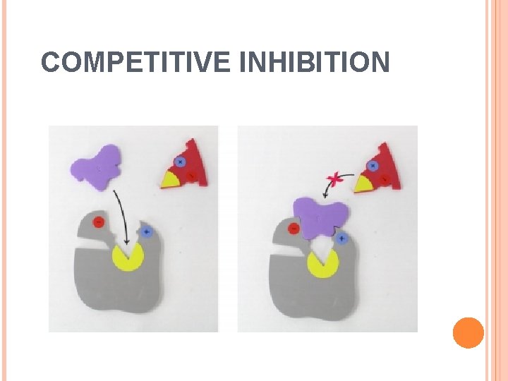 COMPETITIVE INHIBITION 