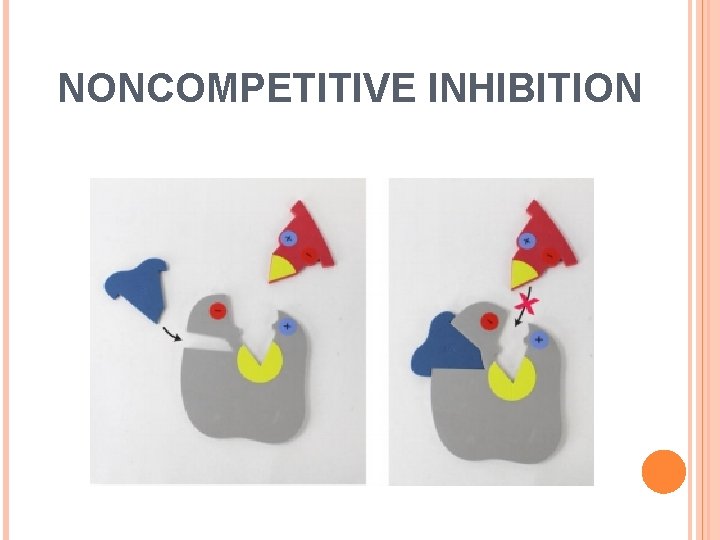 NONCOMPETITIVE INHIBITION 