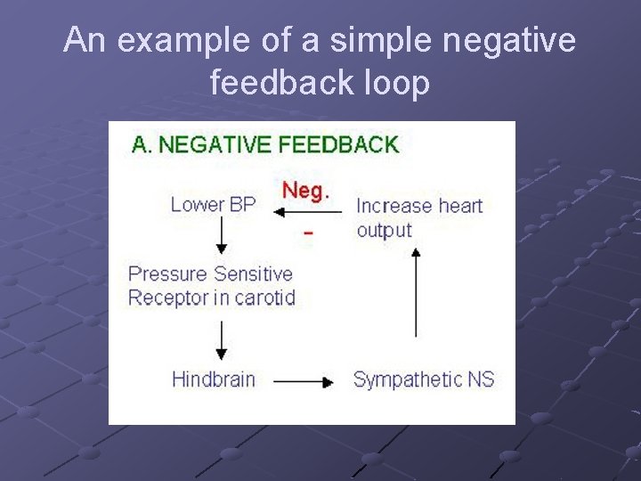 Feedback mechanisms hormones and the endocrine system What