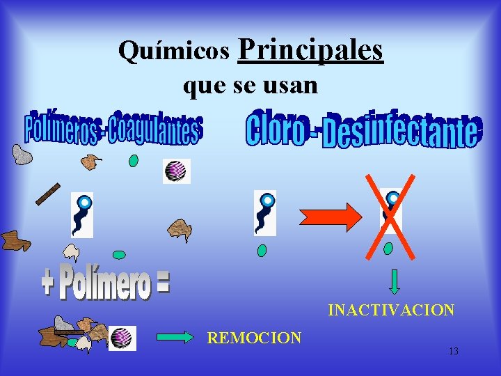 Químicos Principales que se usan INACTIVACION REMOCION 13 