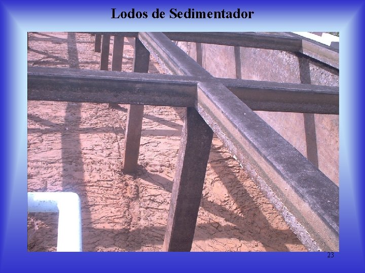 Lodos de Sedimentador 23 