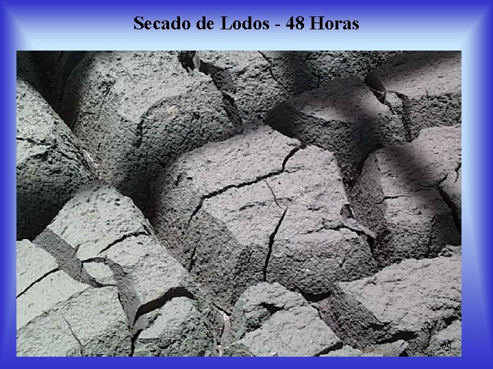 Secado de Lodos - 48 Horas 36 