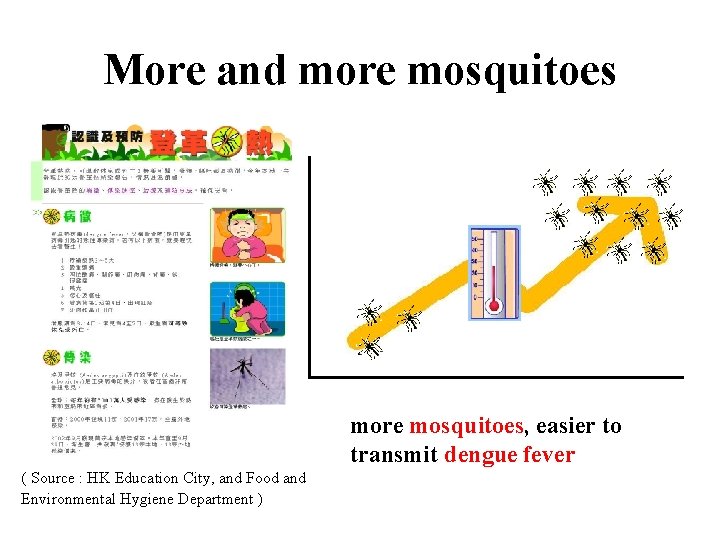 More and more mosquitoes, easier to transmit dengue fever ( Source : HK Education