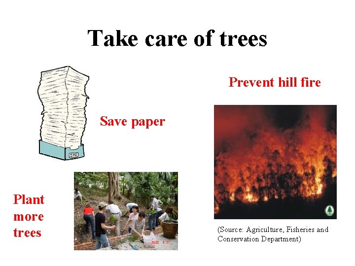 Take care of trees Prevent hill fire Save paper Plant more trees (Source: Agriculture,