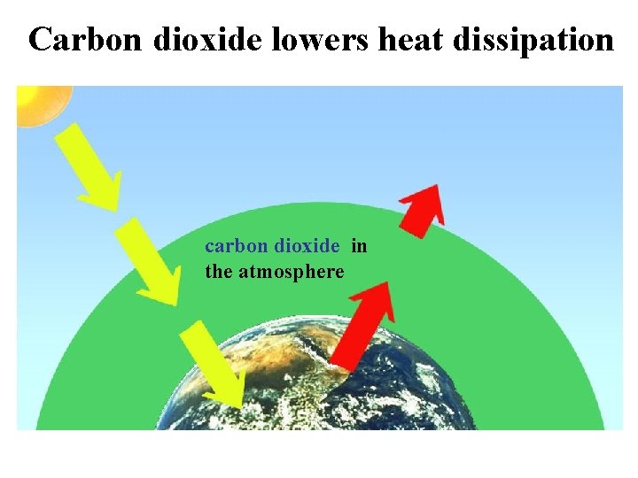 Carbon dioxide lowers heat dissipation carbon dioxide in the atmosphere 