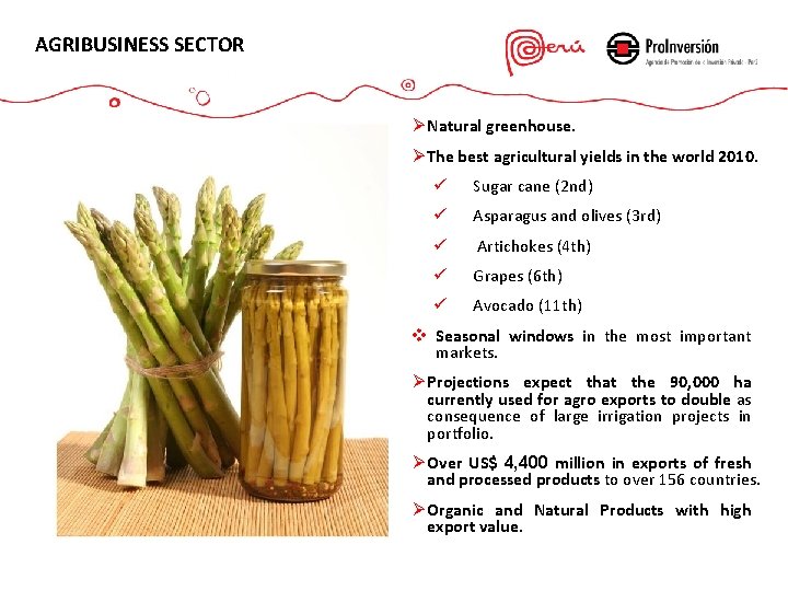 AGRIBUSINESS SECTOR Ø Natural greenhouse. Ø The best agricultural yields in the world 2010.