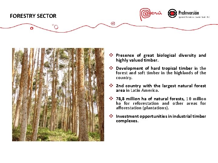 FORESTRY SECTOR v Presence of great biological diversity and highly valued timber. v Development