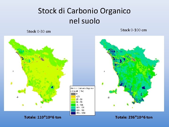 Stock di Carbonio Organico nel suolo Stock 0 -30 cm Totale: 110*10^6 ton Stock
