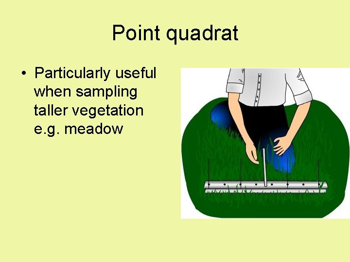 Point quadrat • Particularly useful when sampling taller vegetation e. g. meadow 