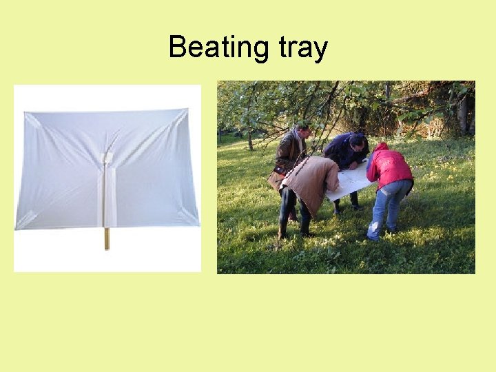 Beating tray 