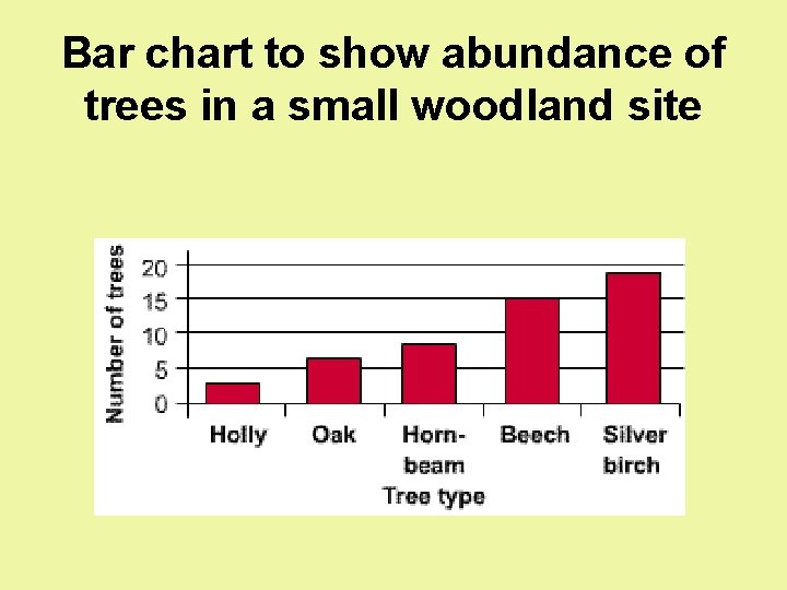 Bar chart to show abundance of trees in a small woodland site 